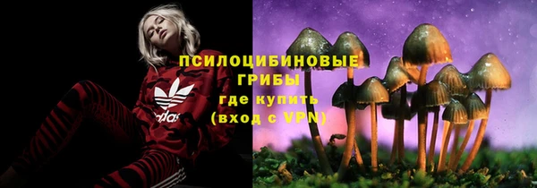 PSILOCYBIN Балабаново